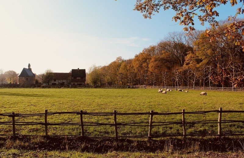 Familiepark goolderheide domein bokrijk