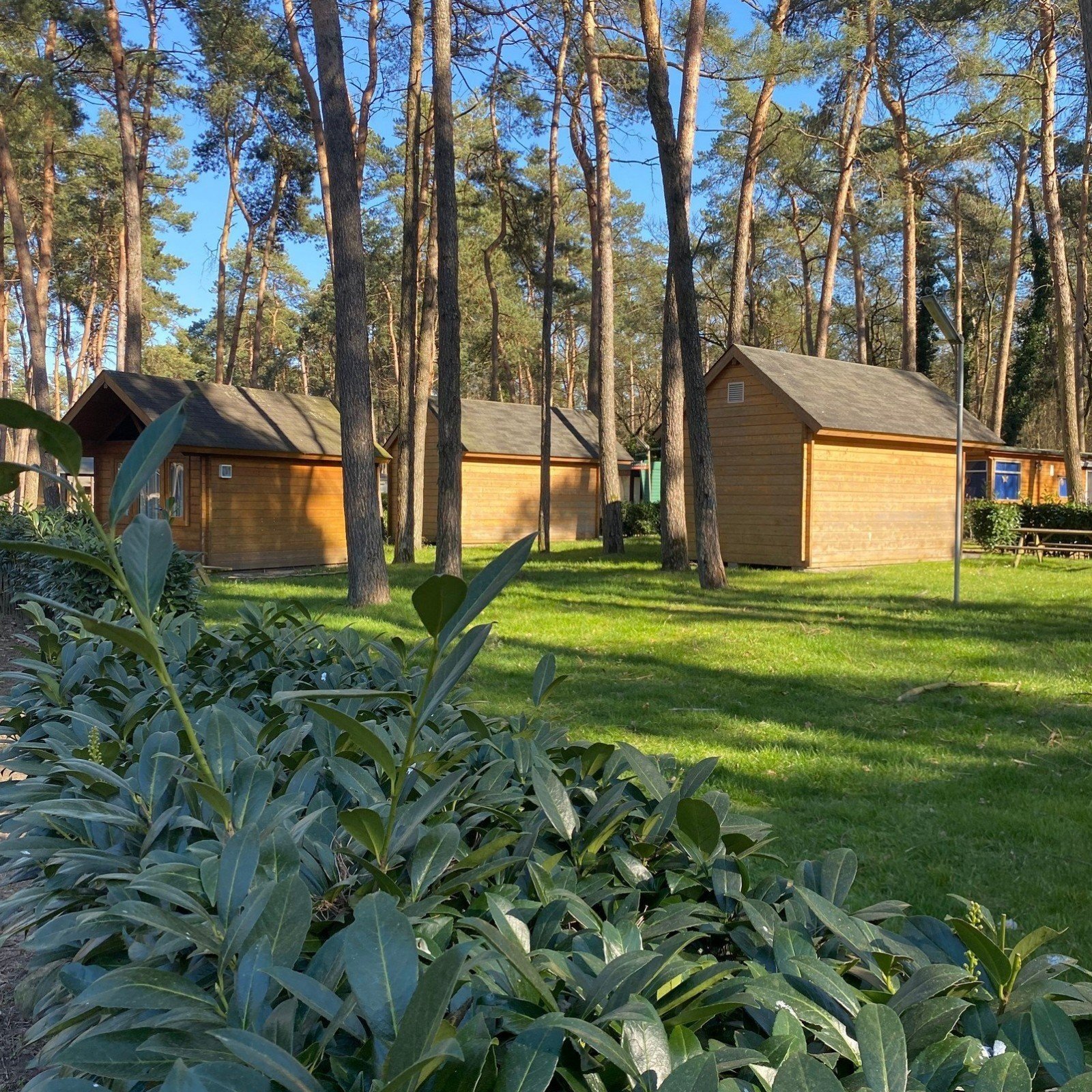 Familiepark goolderheide trekkershut 2022 10