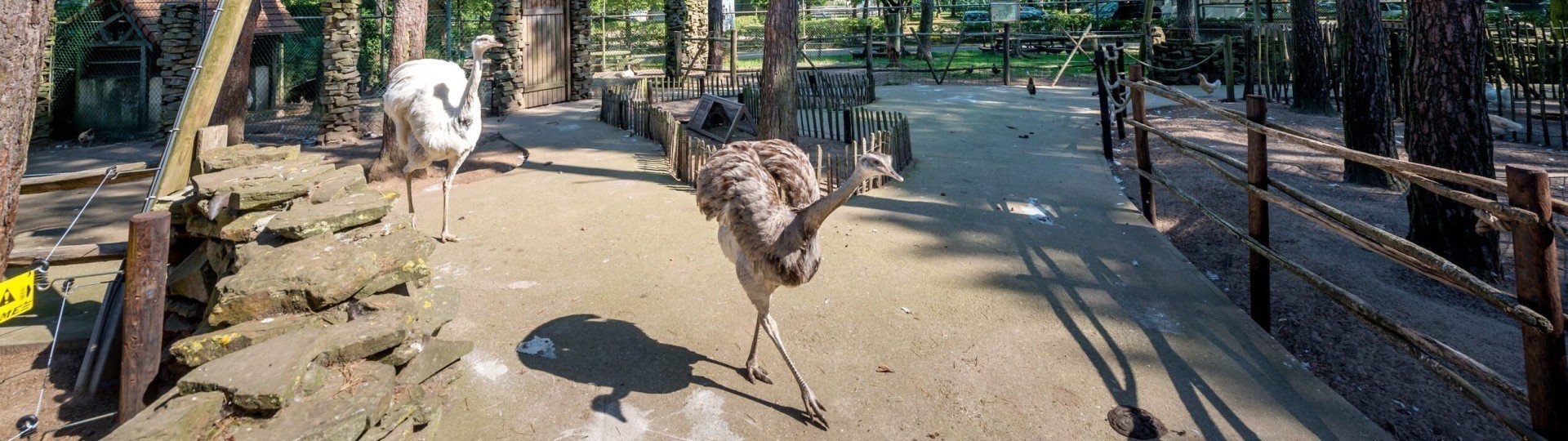 Gh kinderboerderij 6