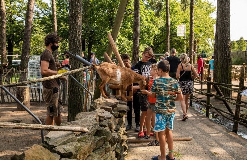Gh vodatent kinderboerderij 5
