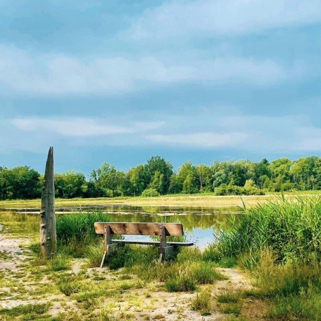 Omgeving belgisch limburg