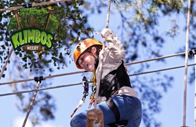 Omgeving goolderheide klimbos weert 5