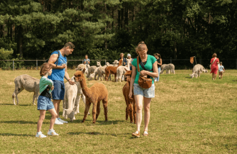 Schermafbeelding 2025 06 02 140808